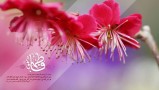 برگزاری جشن میلاد حضرت زهرا(س) در مرکز امام علی(ع)