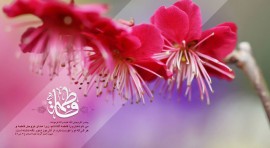 برگزاری جشن میلاد حضرت زهرا(س) در مرکز امام علی(ع)